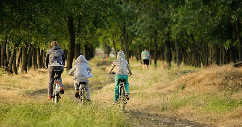 Road trip en famille en Andalousie : l'itinéraire qui enchante les enfants