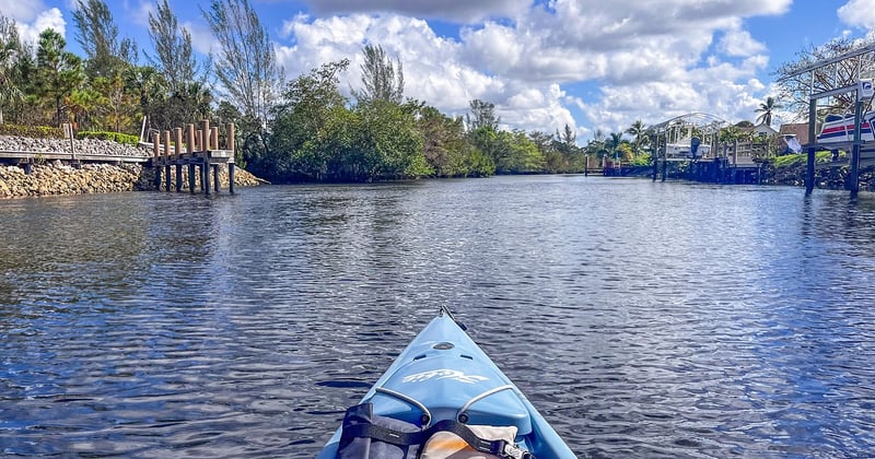 Observer les lamantins en Floride en famille : le guide magique