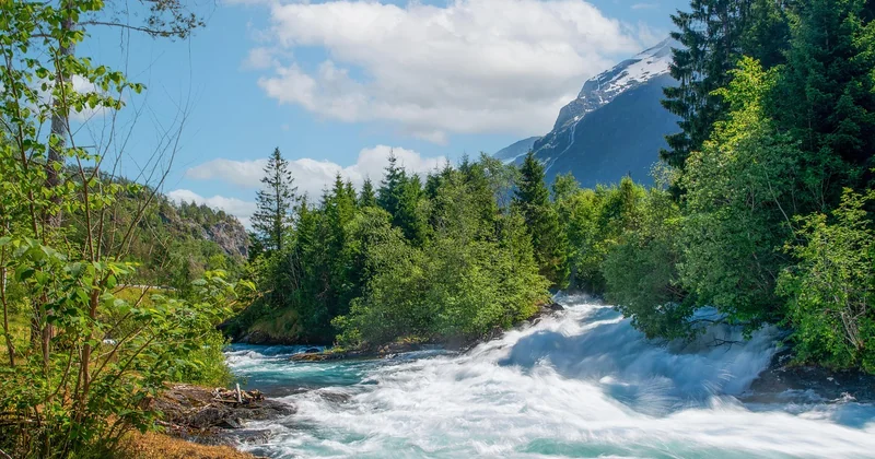 Dangers du bivouac sauvage en Norvège : ce qu'il faut vraiment craindre